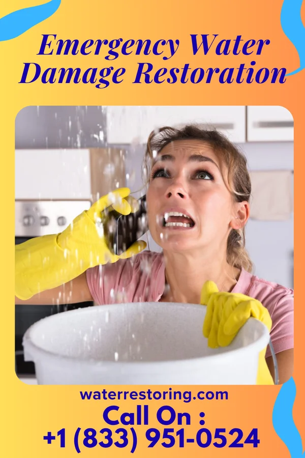 Emergency Water Damage Restoration in Terrell, TX