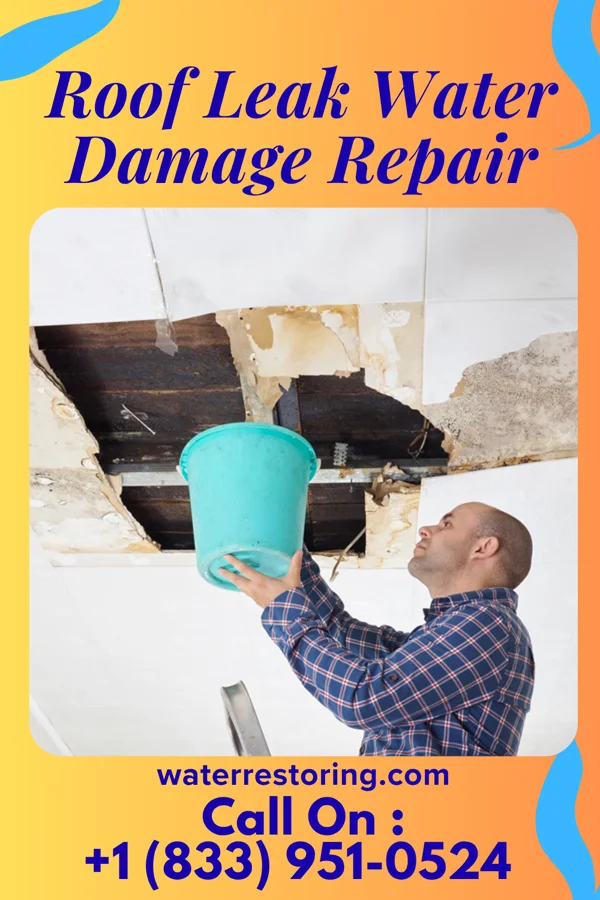 Roof Leak Water Damage Repair in Terrell, TX