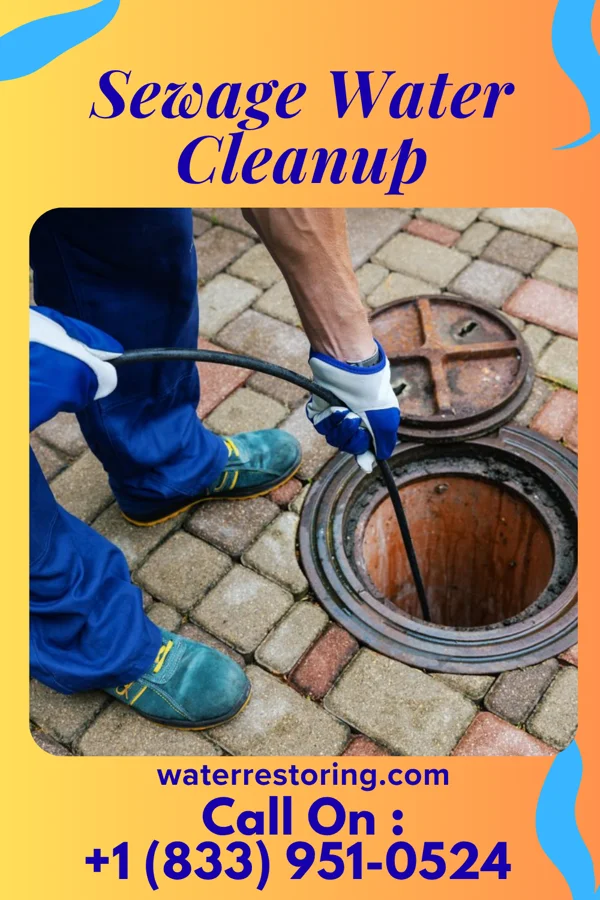 Sewage Water Cleanup in Terrell, TX